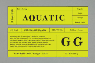Aquatic: A Bold Sans Serif Font for Modern Branding