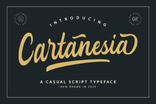 Cartanesia: The Handwritten Font That Elevates Your Creative Projects