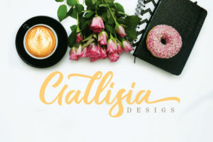 Gallisia Script for Modern Web Design and Branding