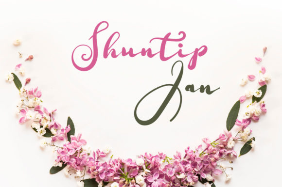 Shuntip Jan: The Font That Elevates Your Brand
