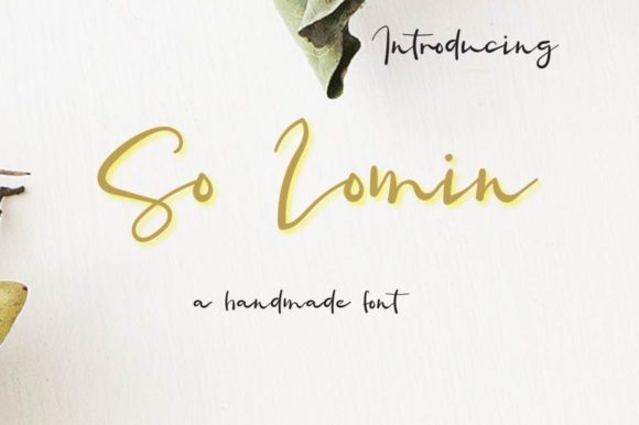 So Lomin: A Font That Adds Personality to Every Design
