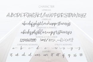 Whitecase: The Font That Elevates Every Campaign